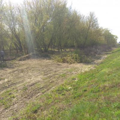 Img 20190425 105926 690517