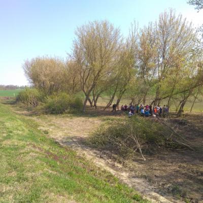 Img 20190425 110031 690517